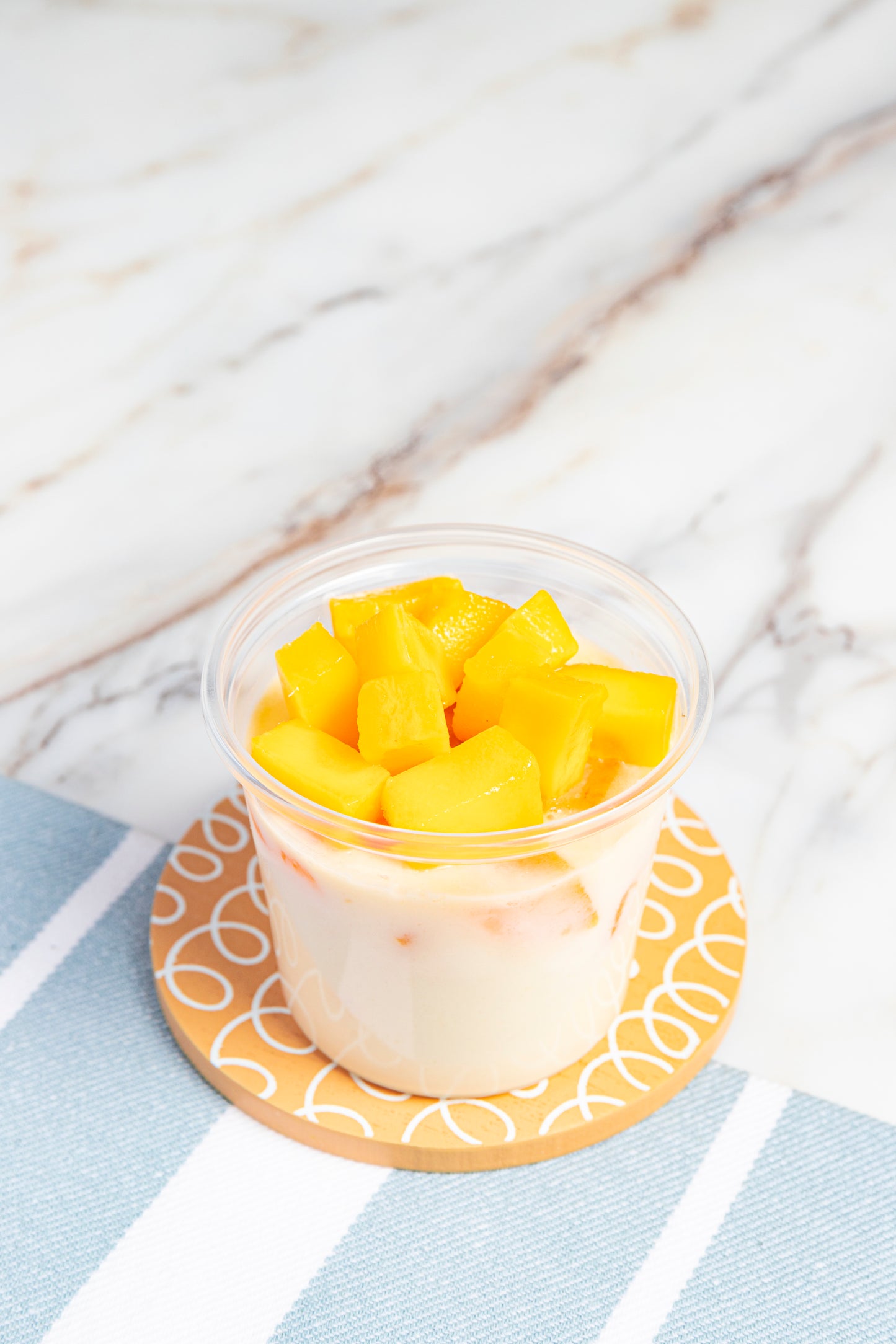 Fresh Mango Pudding